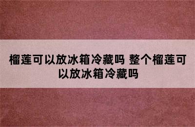 榴莲可以放冰箱冷藏吗 整个榴莲可以放冰箱冷藏吗